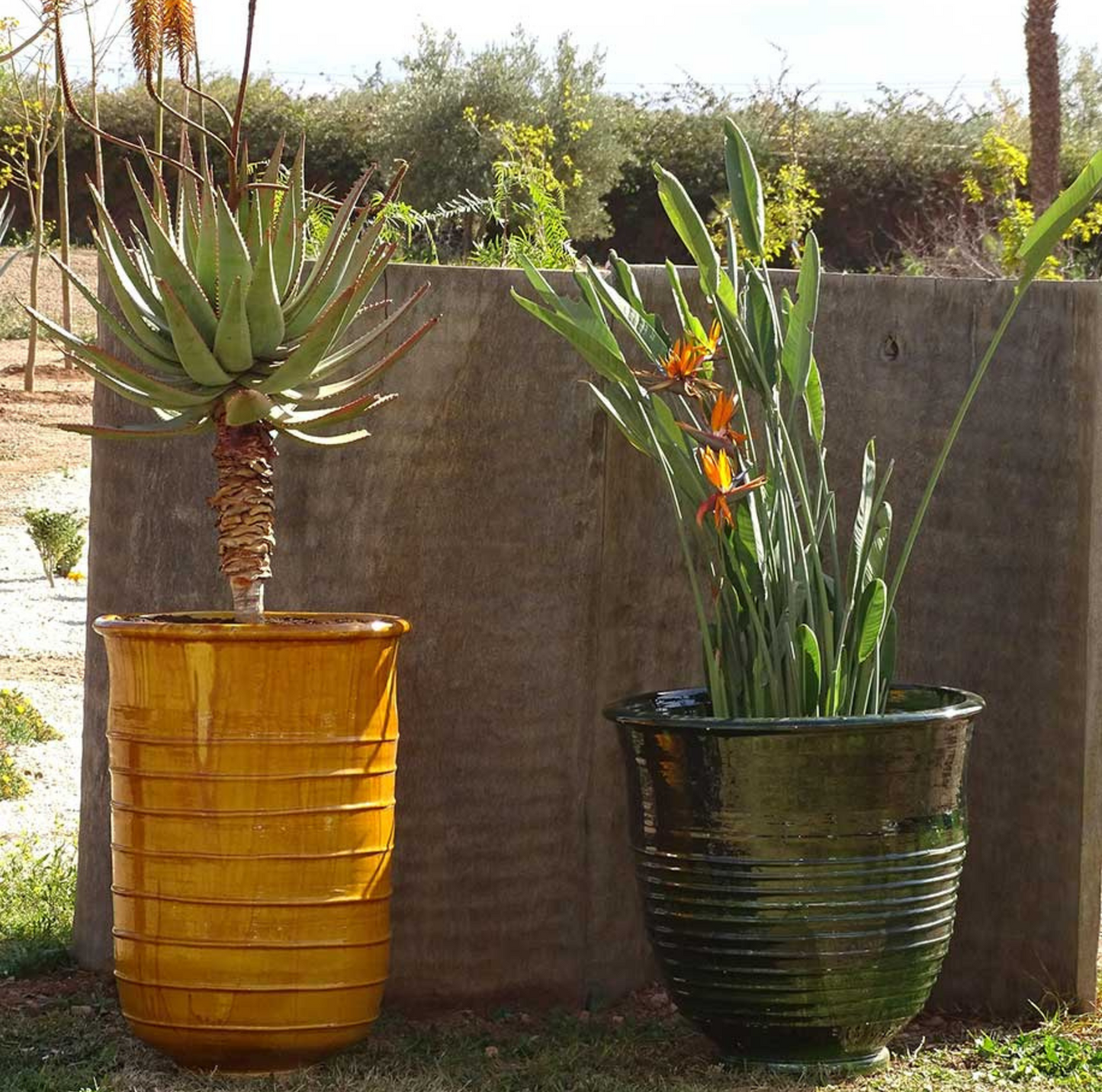 pot en terre cuite, pot de fleurs en terre cuite, poterie en terre cuite, jardinière en terre cuite, vase en terre cuite, pot en terre cuite coloré, pot en terre cuite décoratif, Pots en terre cuite émaillée,Pots en terre vert,pot en terre cuite grand format.
