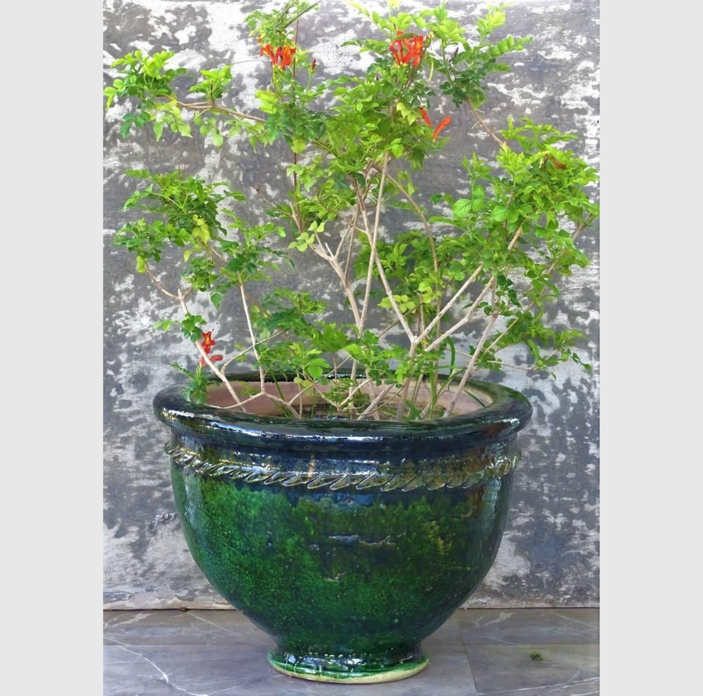 Pot en terre cuite émaillée verte, grand format 58 cm x 40 cm, finition brillante et résistante aux intempéries, parfait pour plantes et arbustes.