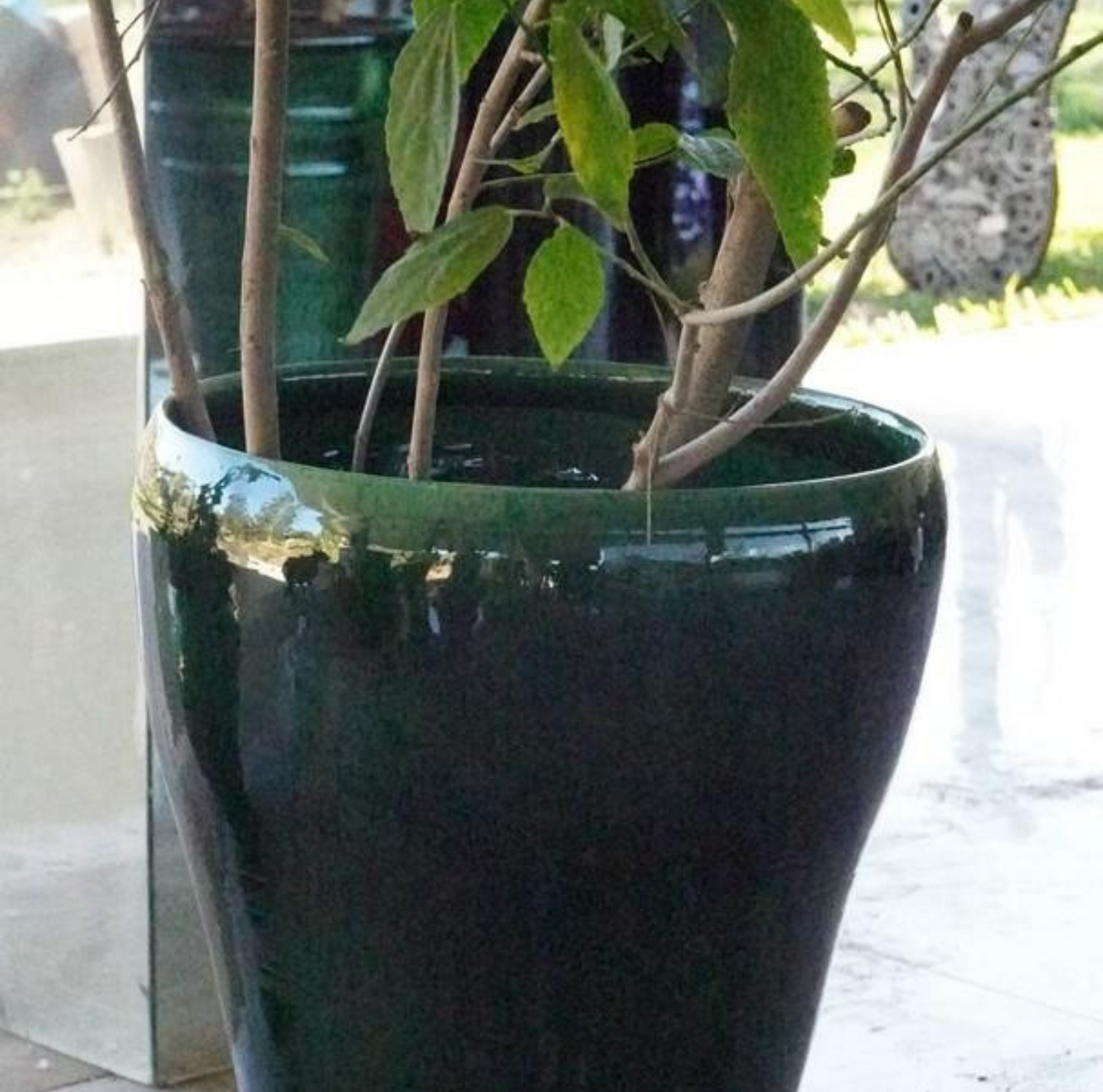 Pots en terre cuite émaillée verte de 3 tailles différentes, idéals pour l'intérieur et extérieur, offrant une finition brillante et moderne.