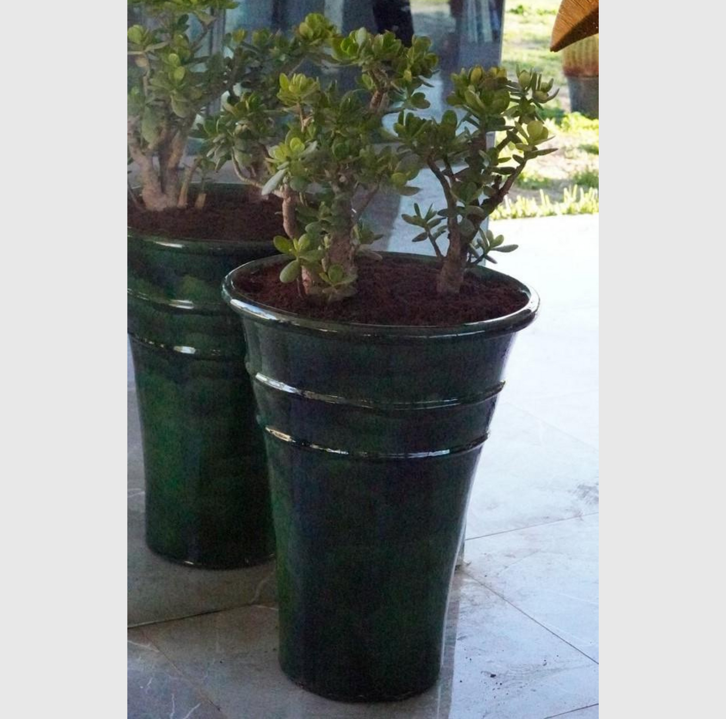 Pots en terre cuite émaillée verte de 3 tailles différentes, idéals pour l'intérieur et extérieur, offrant une finition brillante et moderne.
