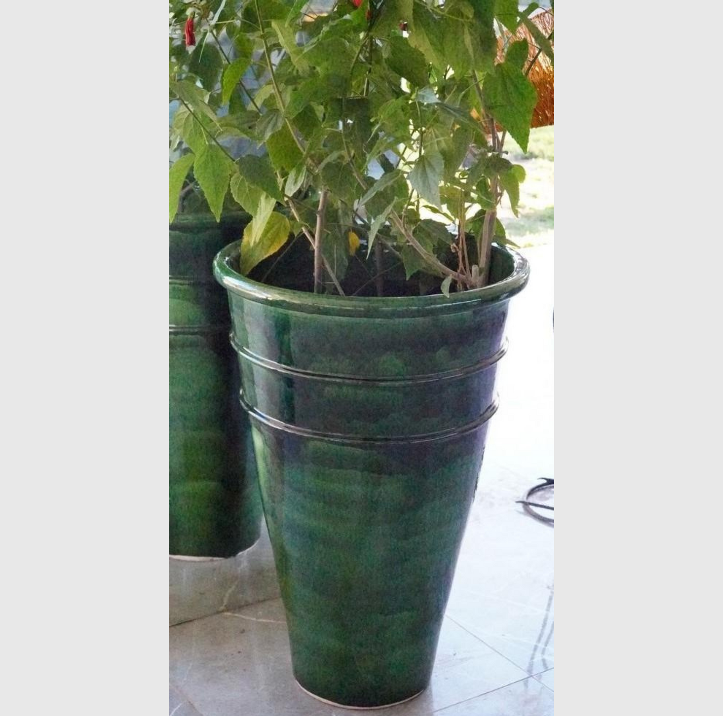 Pots en terre cuite émaillée verte de 3 tailles différentes, idéals pour l'intérieur et extérieur, offrant une finition brillante et moderne.