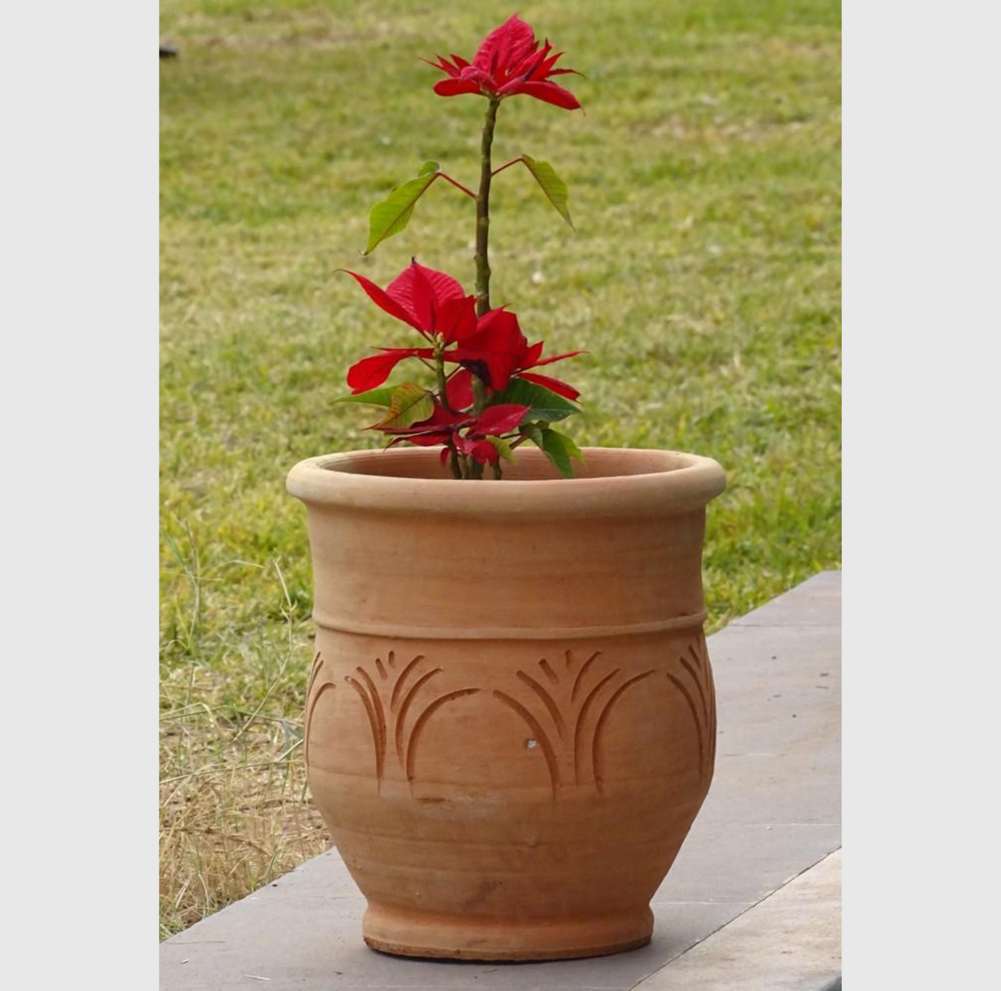 Pot en terre cuite marocain, 36 cm de diamètre, 40 cm de hauteur, fabriqué à la main, pour extérieur, robuste et élégant, idéal pour plantes et décoration.