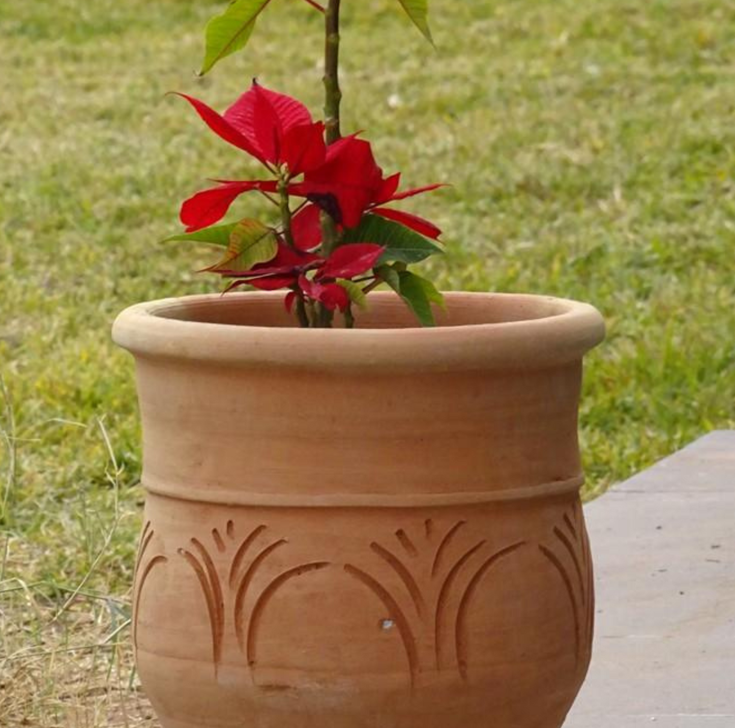 Pot en terre cuite marocain, 36 cm de diamètre, 40 cm de hauteur, fabriqué à la main, pour extérieur, robuste et élégant, idéal pour plantes et décoration.