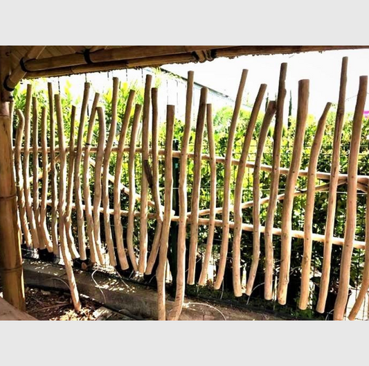 palissade branches de teck, clôture en branches de teck, brise-vue en teck naturel, séparation jardin en bois de teck, palissade bois exotique, panneau en branches de teck, clôture teck extérieur, barrière en bois de teck, palissade décorative en teck, claustra en teck naturel, palissade en bois de teck pour jardin, clôture en branches de teck massif, brise-vue naturel en teck pour terrasse, séparation extérieure en branches de teck, aménagement de jardin avec palissade en teck.