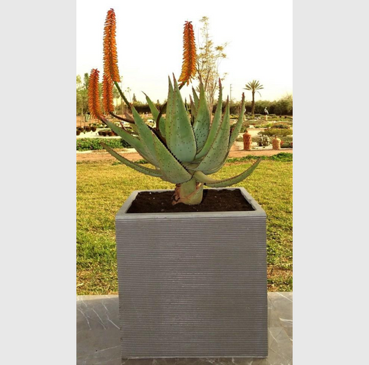  pots de fleurs en polystone, jardinières en polystone,  pots de fleurs en polystone, pots en polystone pour arbustes, pots en polystone gris, pots en terre cuite décoratifs,  pots en terre cuite pour plantes.