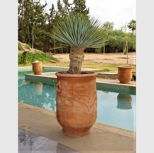 Pot en  terre cuite Diamètre 36 cm Hauteur 51 cm