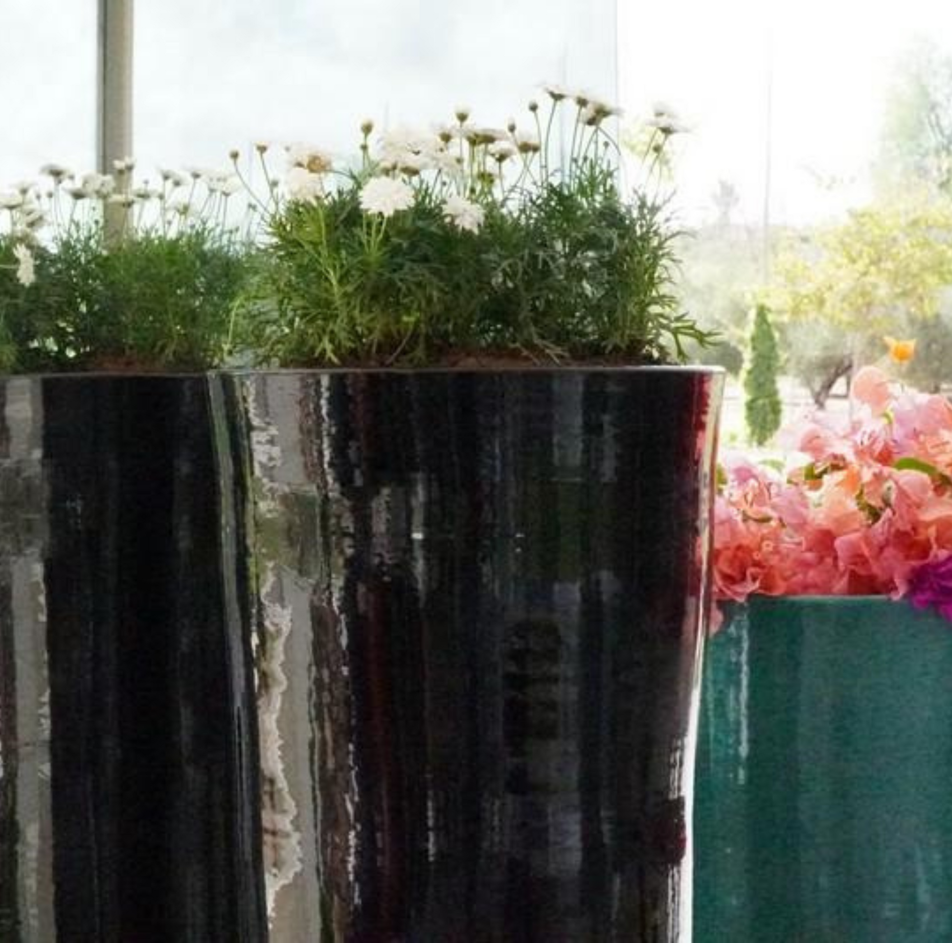 Pots en terre cuite émaillée noire, avec finition brillante, idéals pour une décoration moderne et élégante, adaptés à l'intérieur et à l'extérieur.