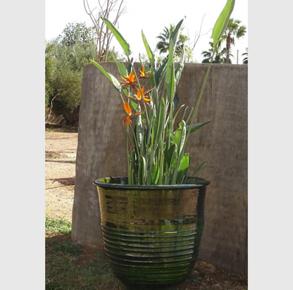 Pot en terre cuite vert