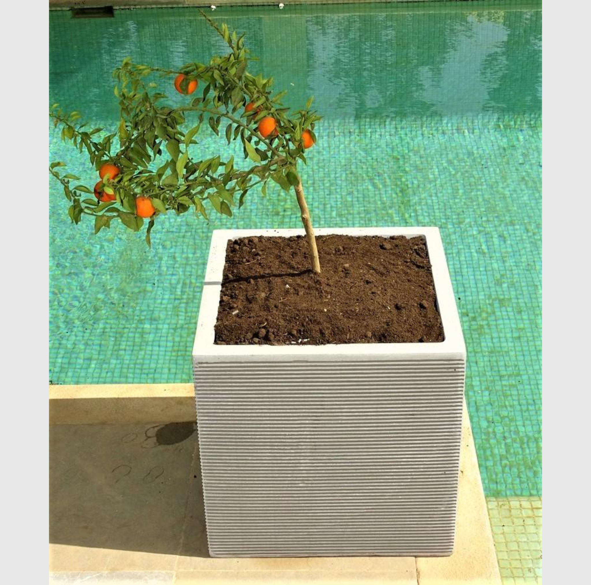pot cubique polystone gris mat robuste pour terrasse et patio