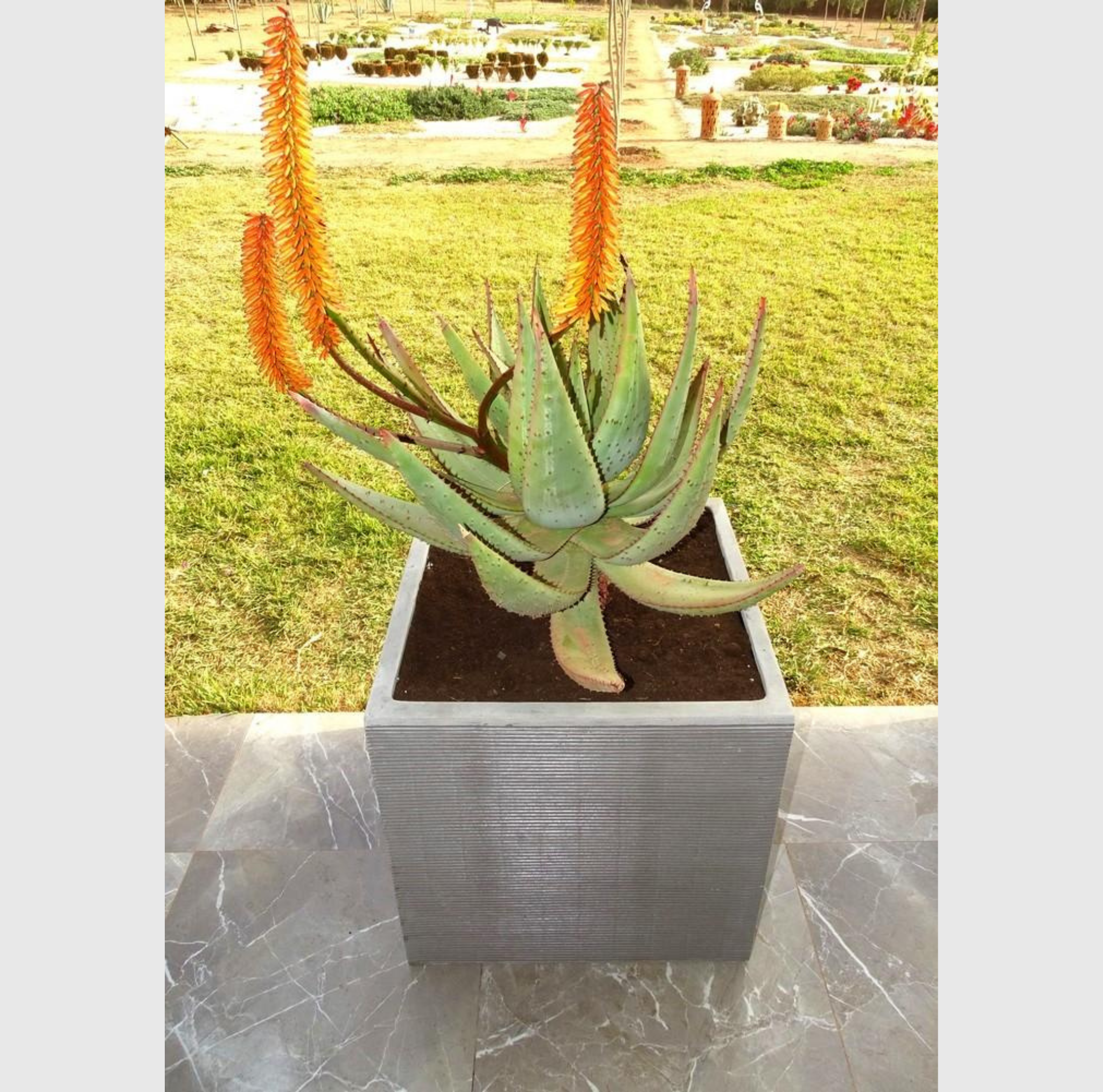 pot de jardin 45 cm polystone solide design epure usage terrasse et entree