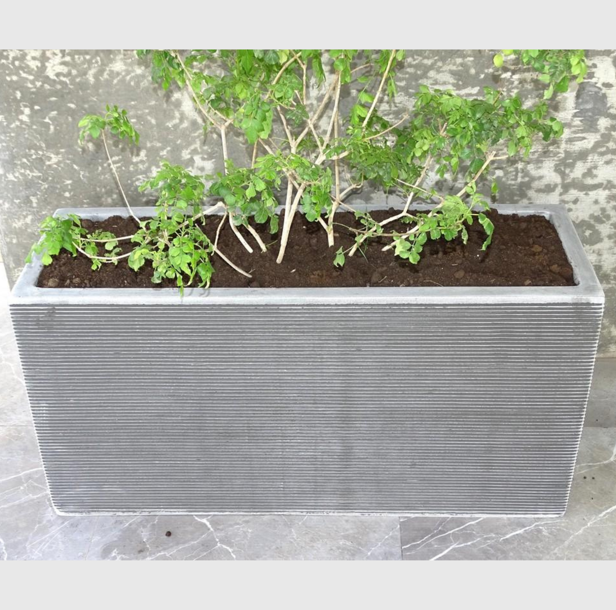 pot jardin polystone couleur ardoise 100x35x50 cm pour balcon et jardin contemporain