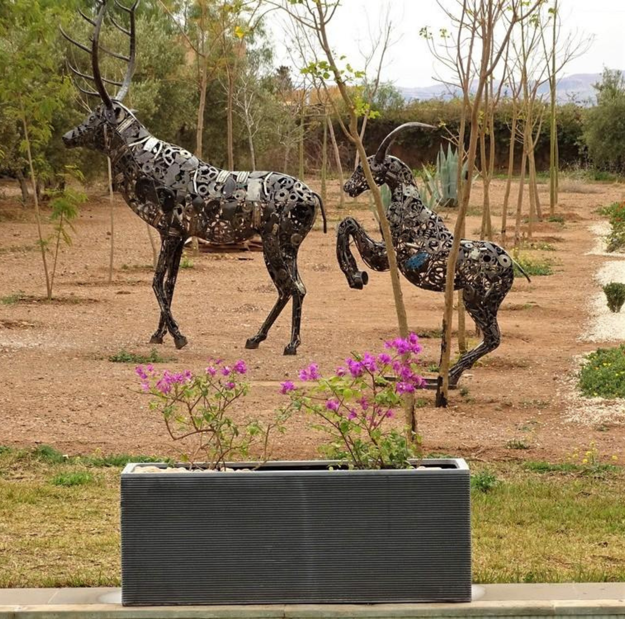 pot polystone ardoise rectangulaire plantes linéaires composition jardin