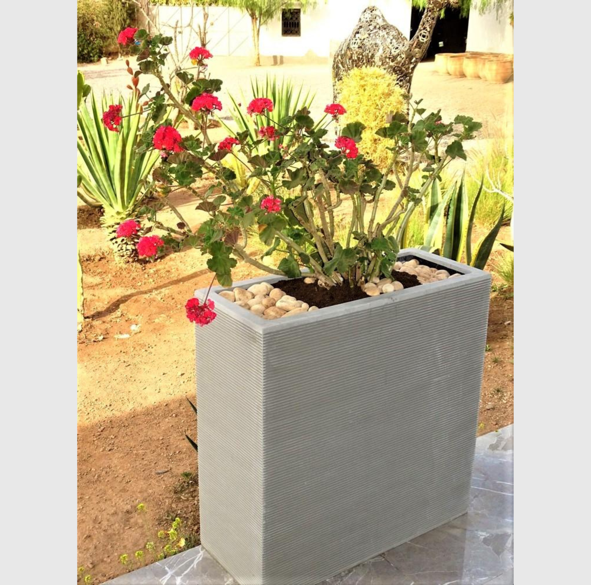 pot rectangulaire polystone gris avec arbustes graminées usage extérieur