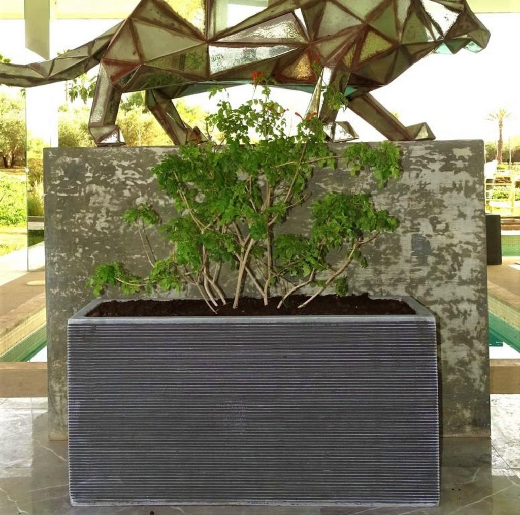 pot rectangulaire polystone ardoise 100x35x50 cm pour composition végétale linéaire