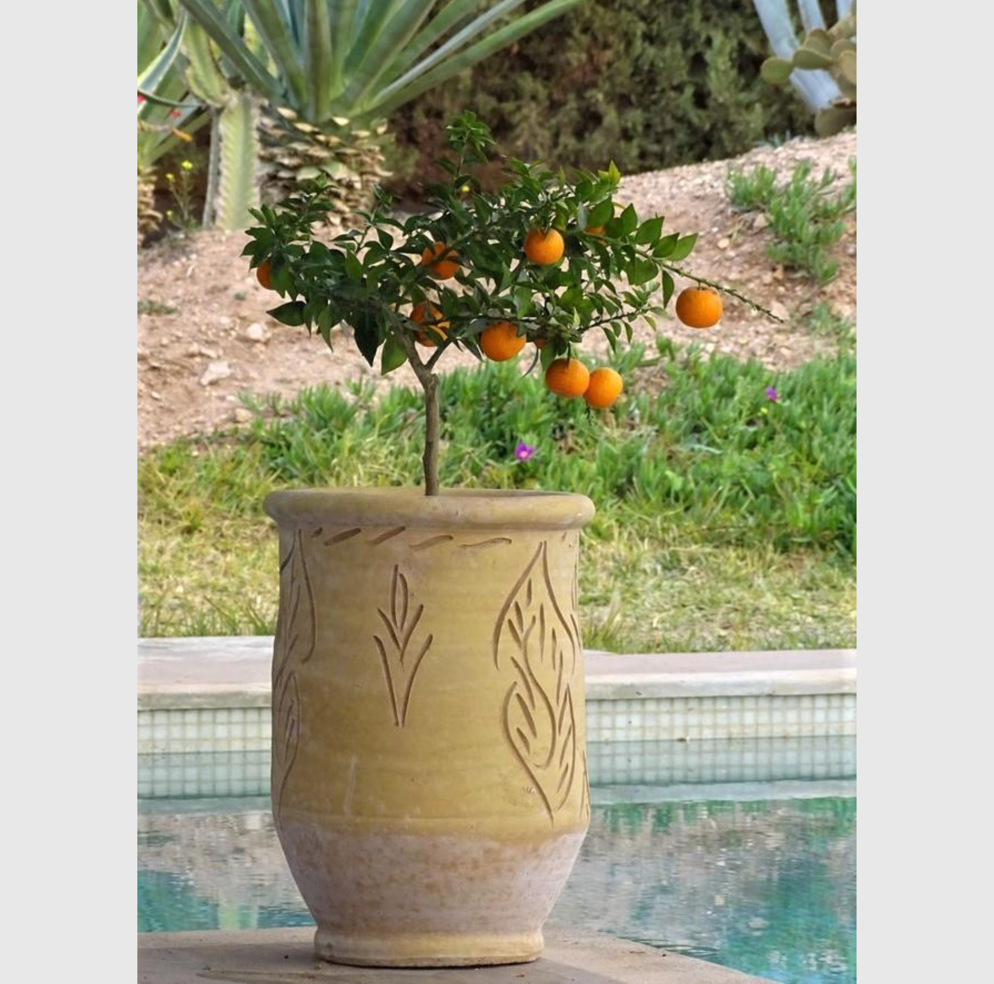 Pot en terre cuite artisanale de 33 cm de diamètre et 45 cm de hauteur en argile naturelle pour jardin terrasse ou intérieur