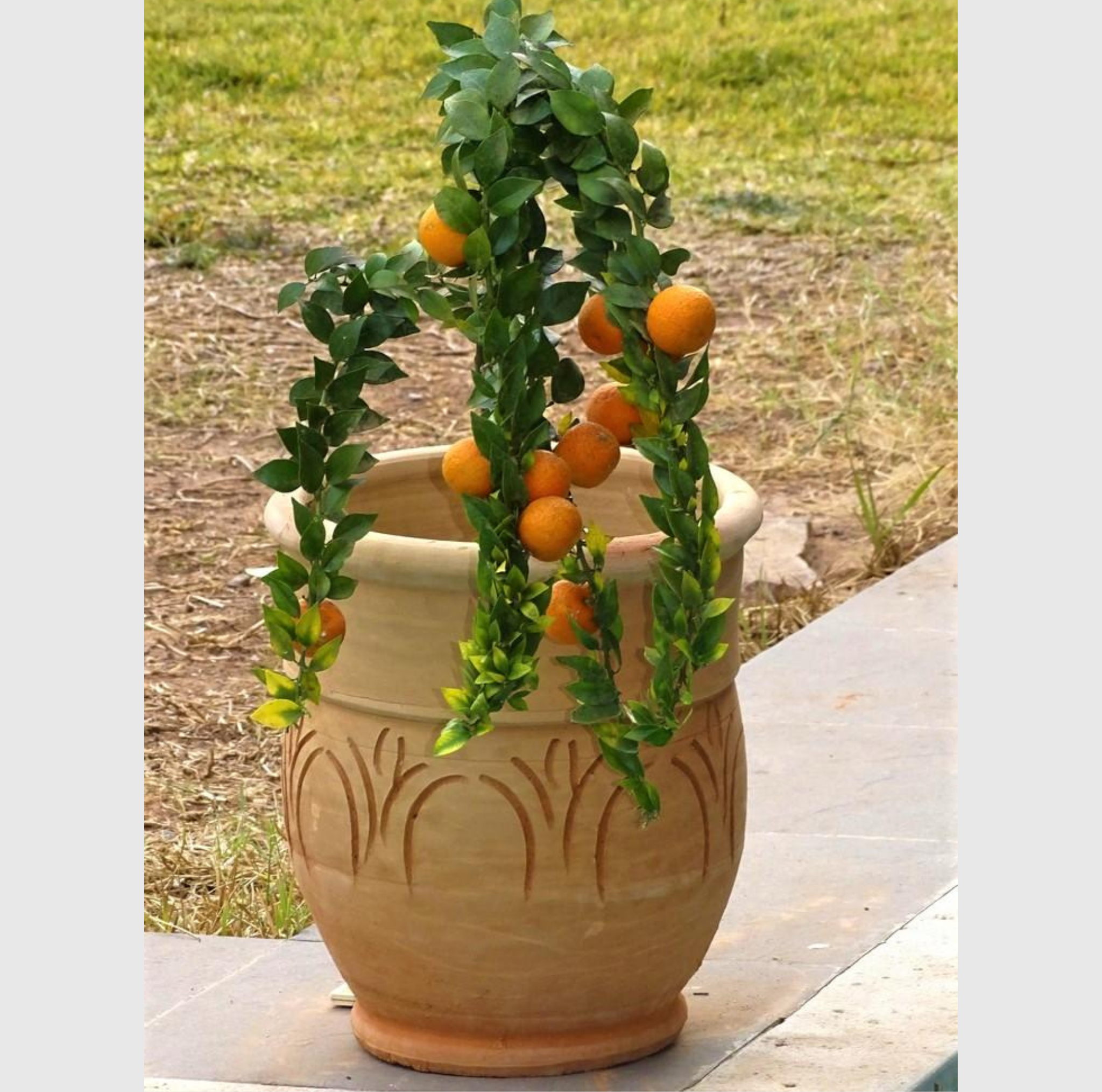 Pot en terre cuite artisanal marocain pour jardin hauteur 43 cm ouverture 26 cm accueille plante exterieure