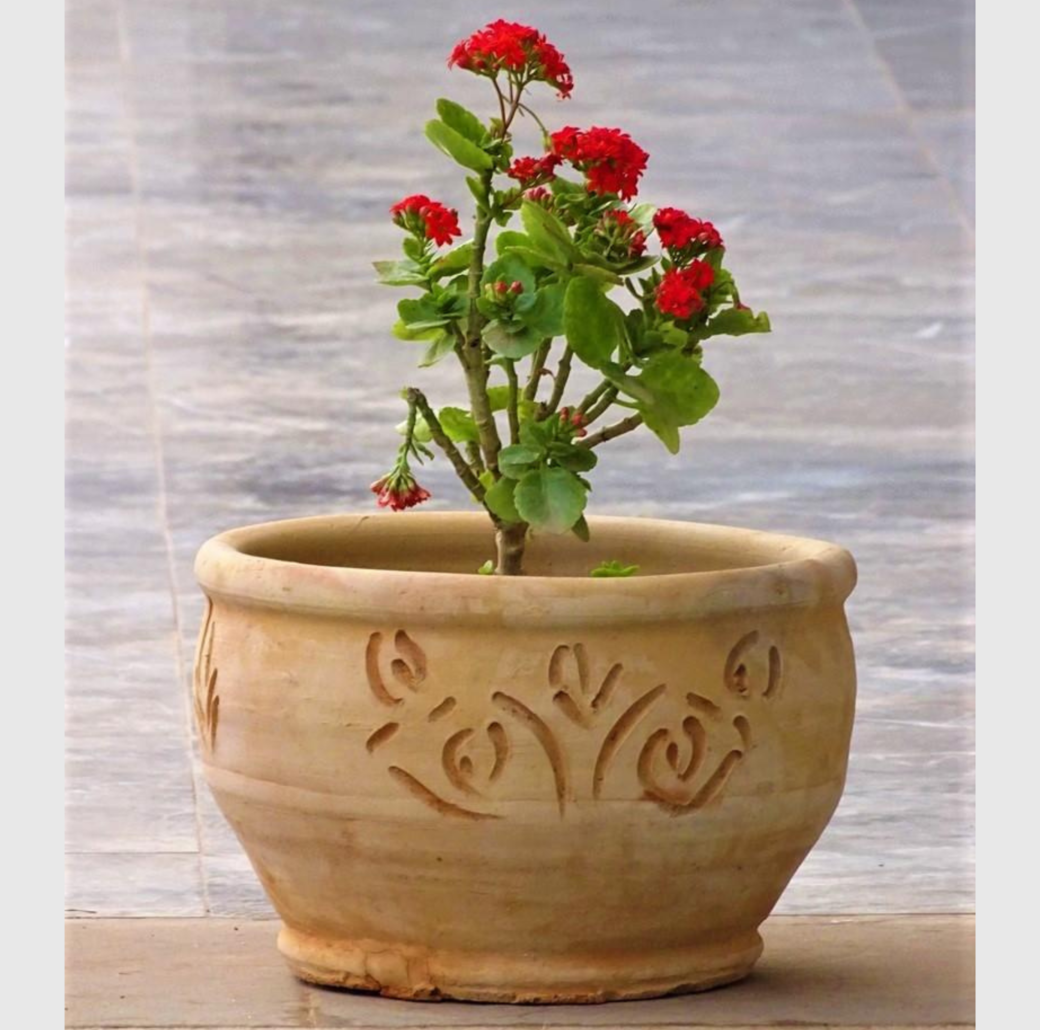 Petit pot en terre cuite artisanale marocaine tourne a la main pour jardin ou terrasse avec ouverture large de 34 cm