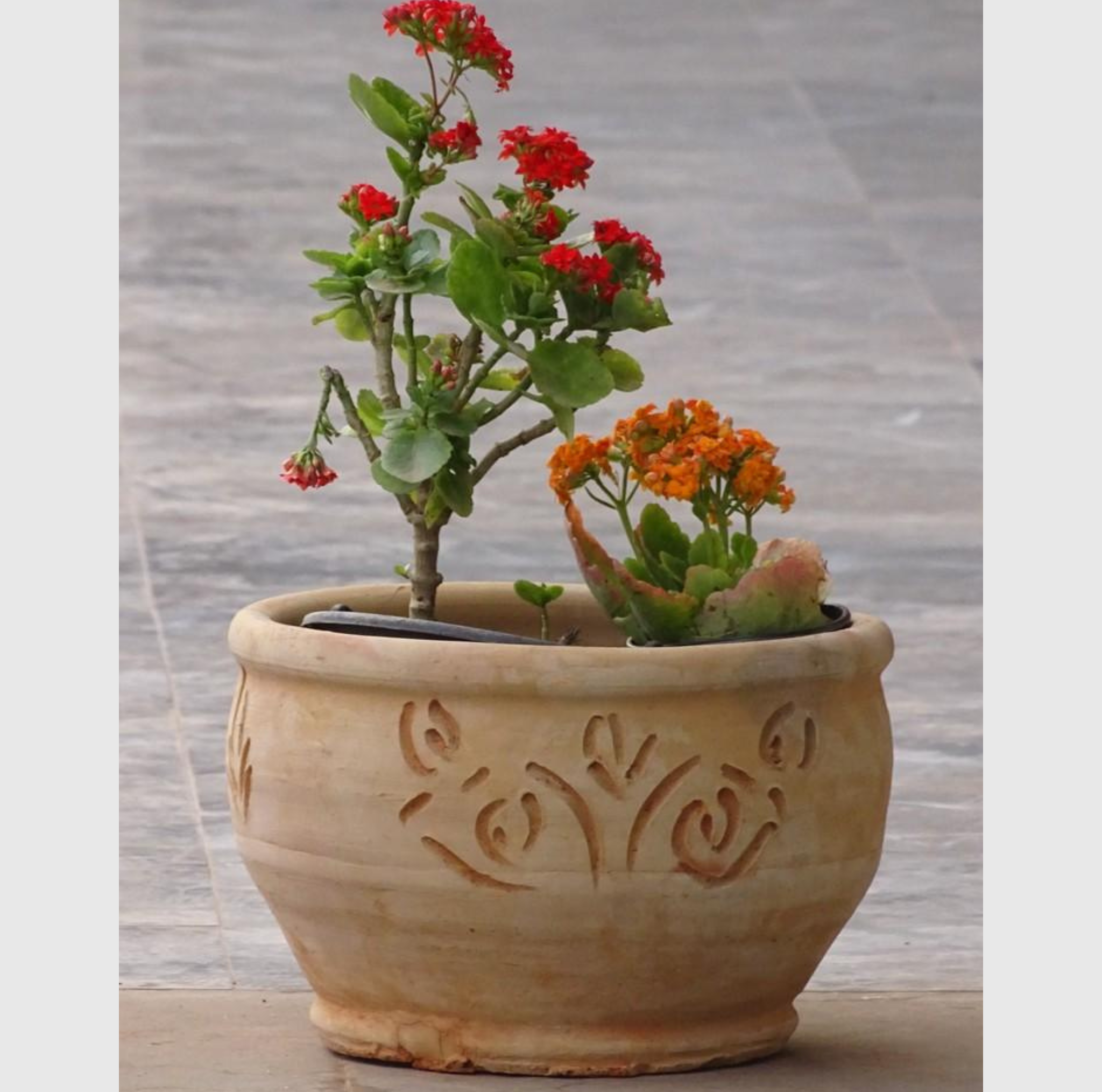 Ouverture large de pot en terre cuite marocaine artisanale permettant une plantation facile pour fleurs et plantes