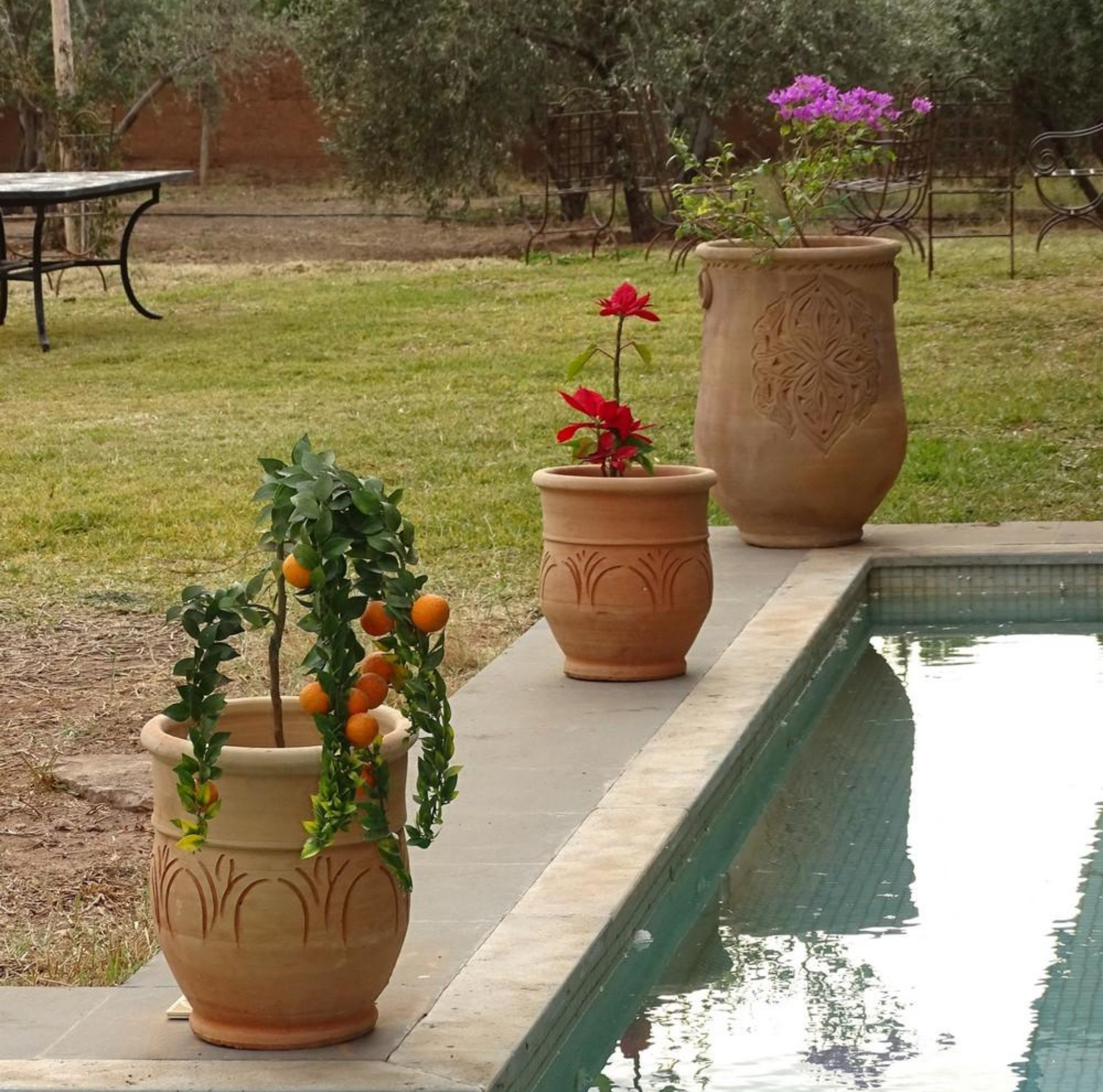 Petit pot en terre cuite fait main pour décoration extérieure méditerranéenne jardin ou terrasse avec plante