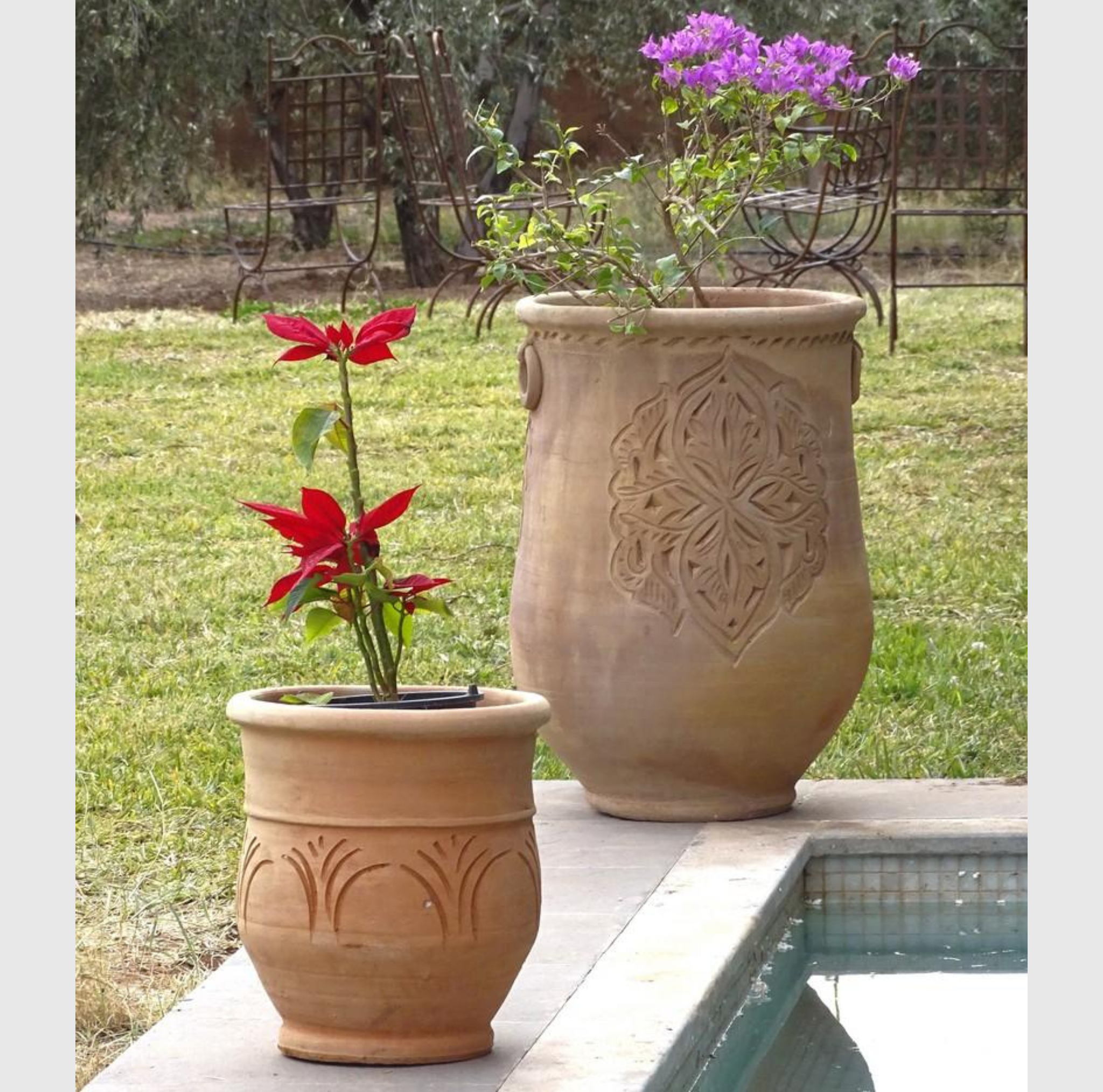 Grand pot en terre cuite respirant Ø48 cm H70 cm concu pour arbustes et developpement des racines jardin terrasse