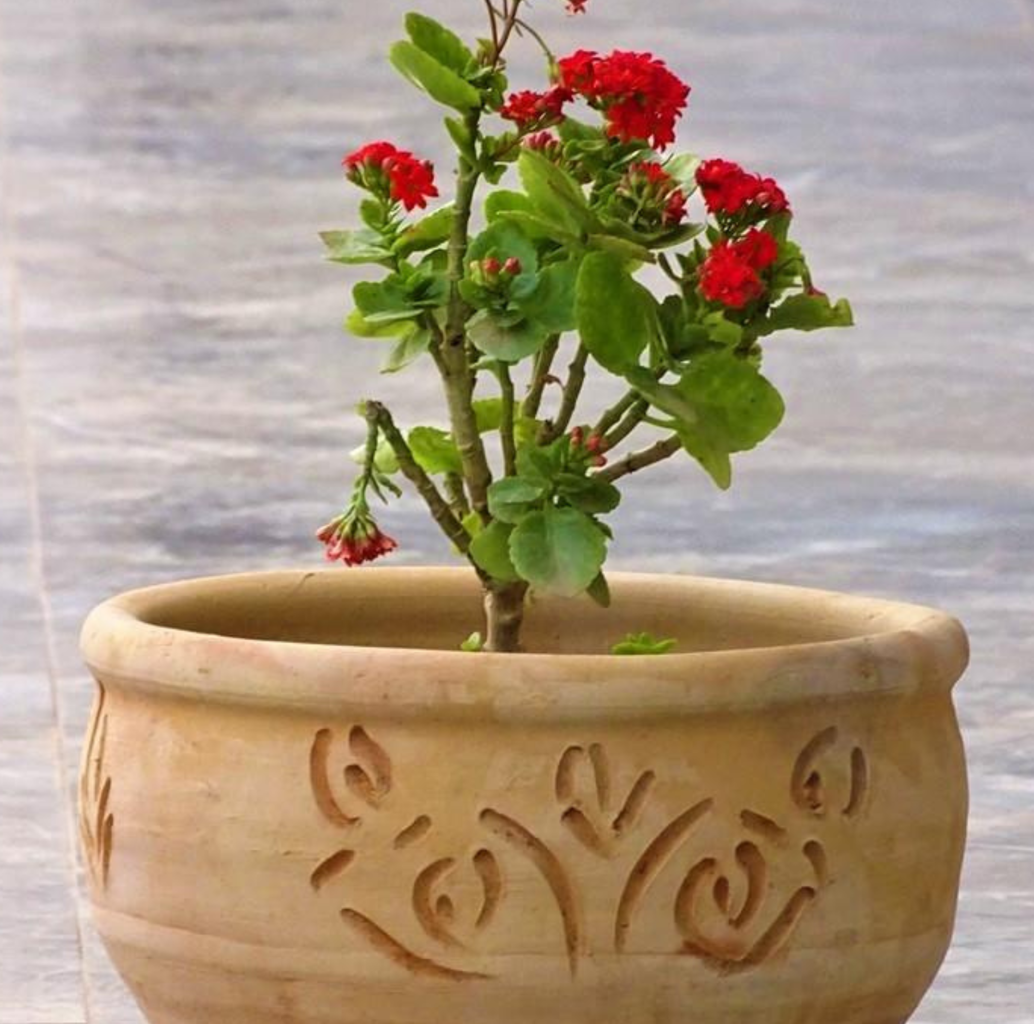 Detail de la texture brute d un pot en terre cuite artisanale marocaine realise en argile naturelle